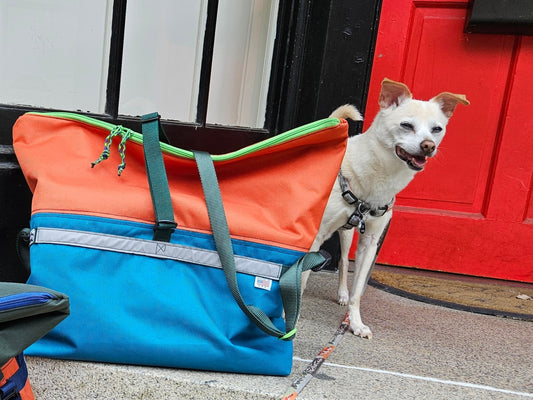 Pony Express - Sally Forth Supply Co.